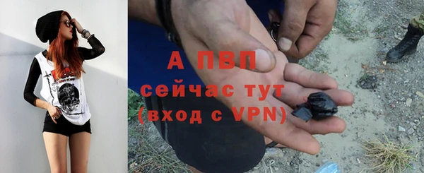 ПСИЛОЦИБИНОВЫЕ ГРИБЫ Белоозёрский