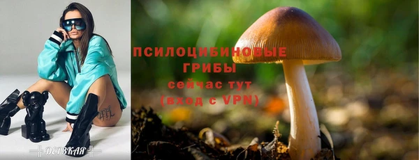 ПСИЛОЦИБИНОВЫЕ ГРИБЫ Белоозёрский