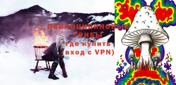 ПСИЛОЦИБИНОВЫЕ ГРИБЫ Белоозёрский