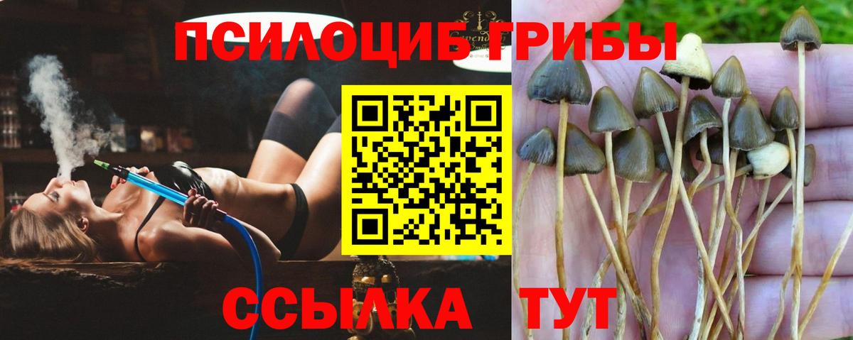 Псилоцибиновые грибы мицелий  Вход с VPN  Волжск 